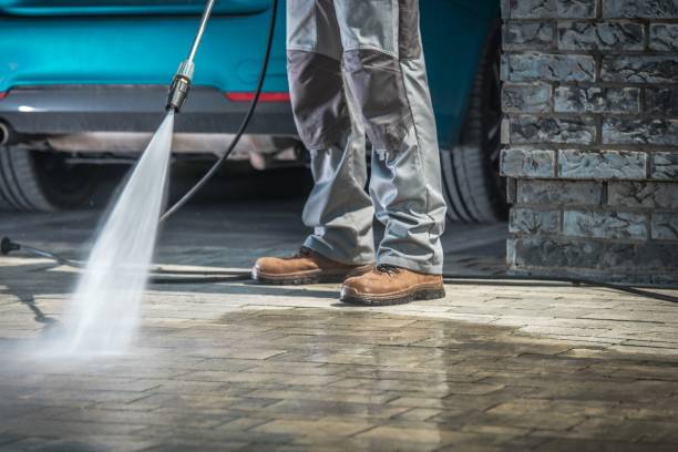 Best House Exterior Washing  in Anoka, MN